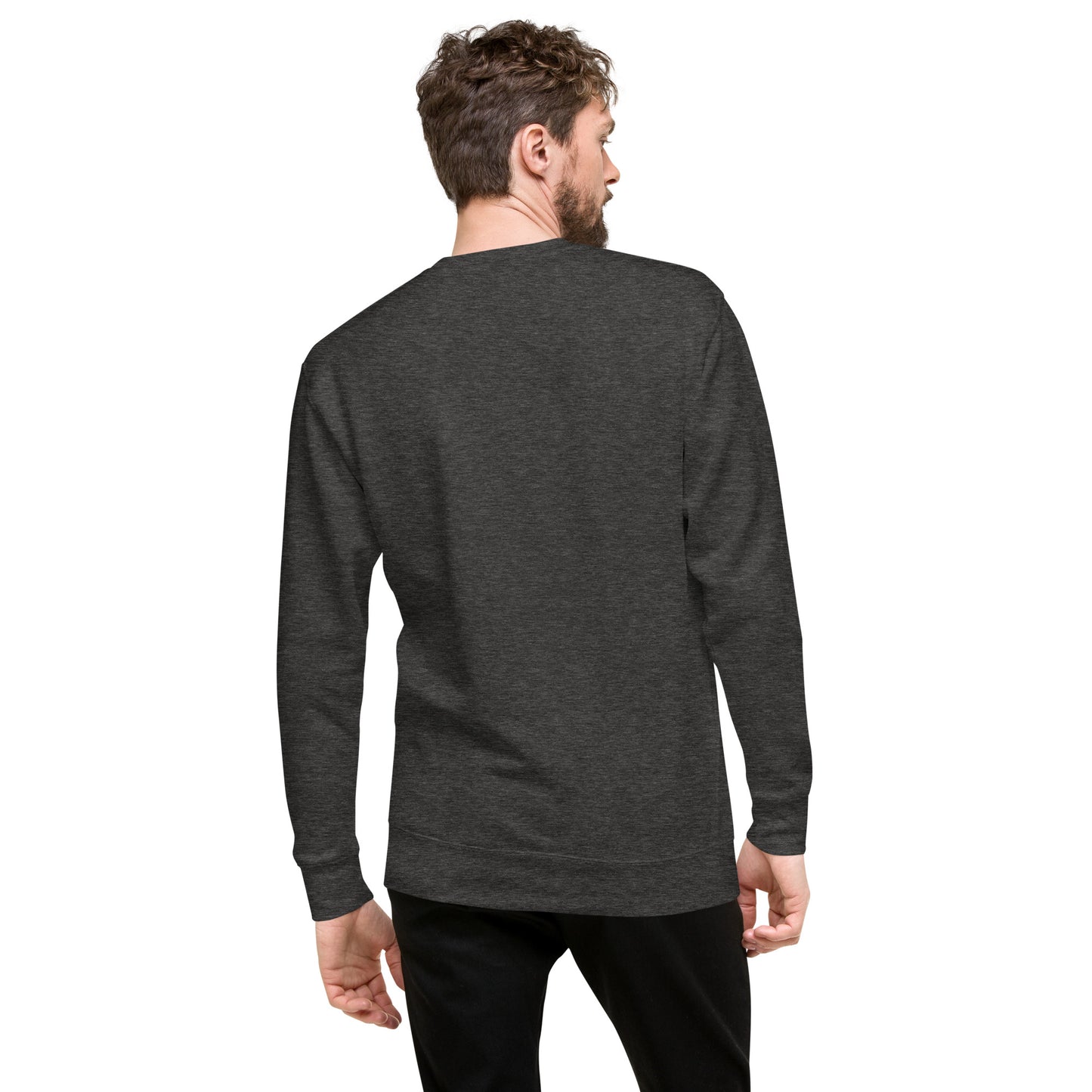 BONAZNA F33 Printed Unisex Cozy Fleece Aviation Premium Sweatshirt.