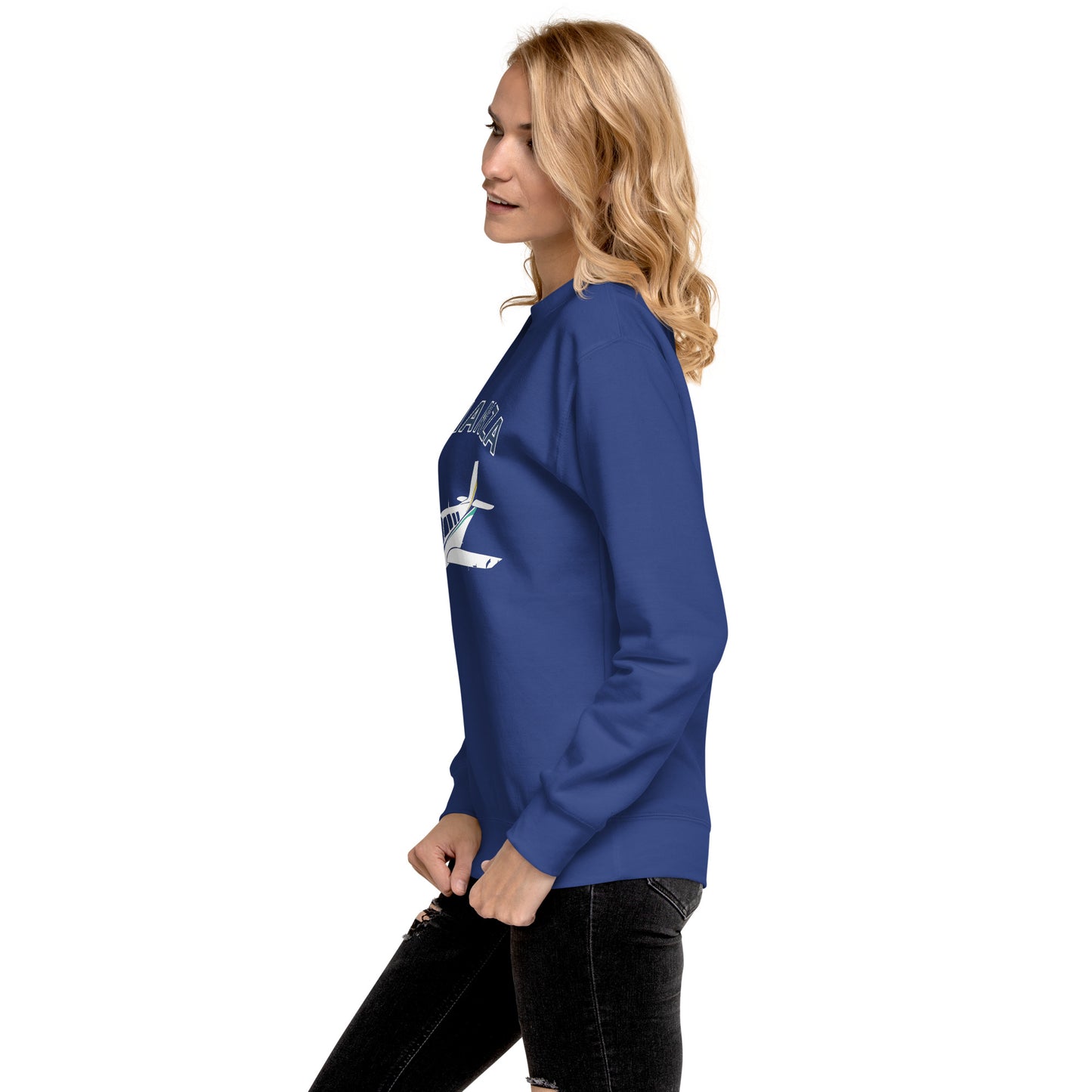 BONAZNA A36 Blue stripe Printed Unisex Cozy Fleece Aviation Premium Sweatshirt.